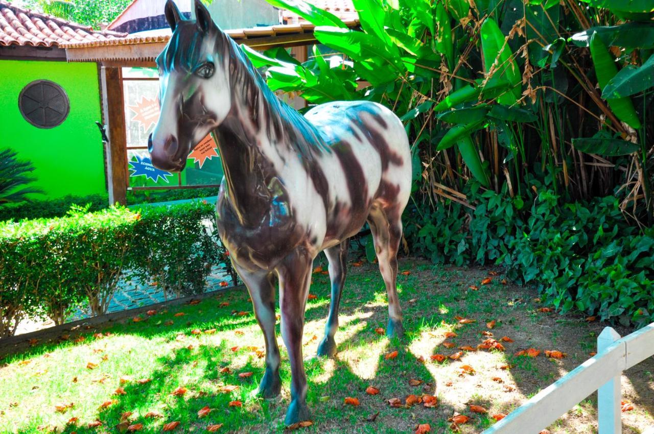 Ver A Vista Hotel Araruama Bagian luar foto